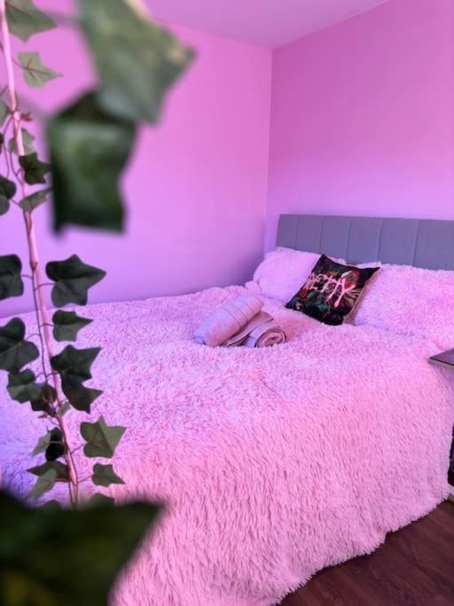 #1 Most Viral Pink House W Ball Pit