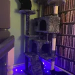 Tuebrook Towers