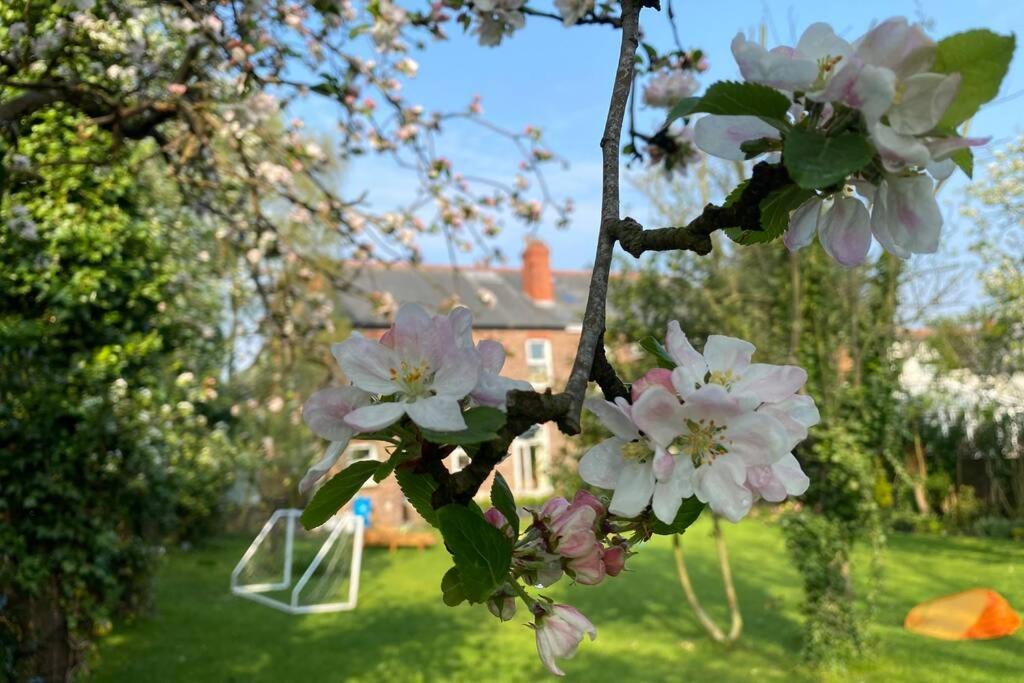 Lyndhurst - Victorian With Heated Pool * Liverpool