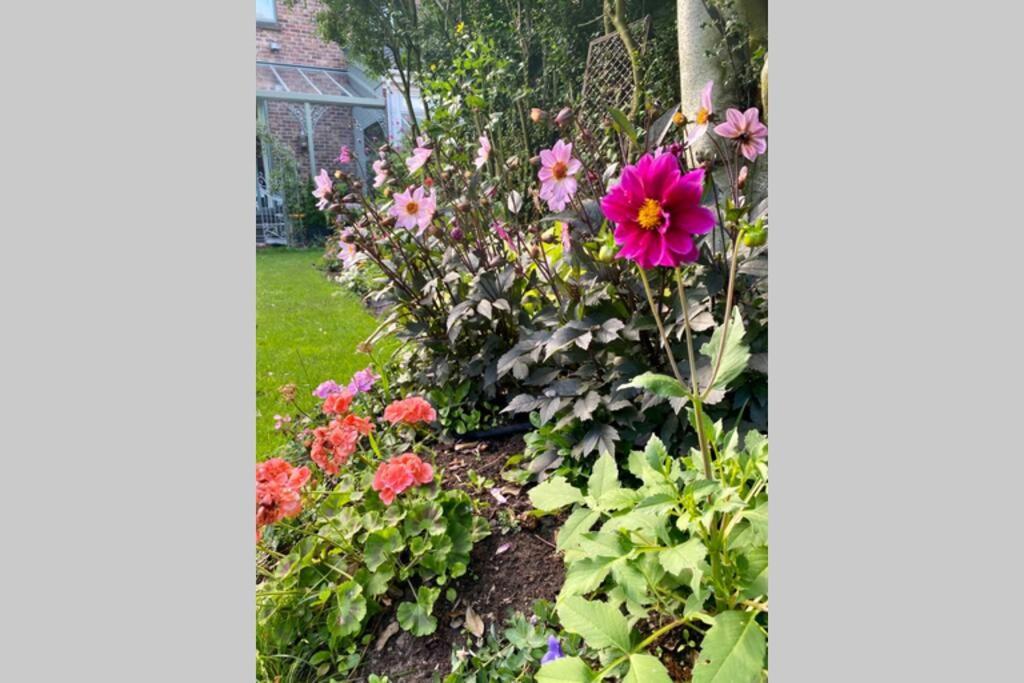 Lyndhurst - Victorian With Heated Pool * Liverpool