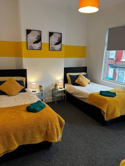 Apartment Cozy Near City, Sleeps 5, Free Parking, Wifi