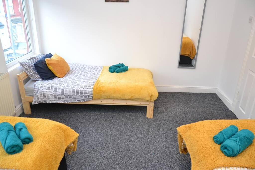 Cozy Near City, Sleeps 5, Free Parking, Wifi Apartment