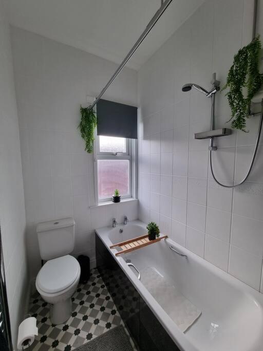 Apartment From - Entire
