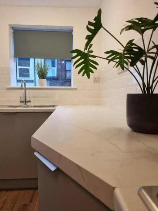 From - Entire Apartment