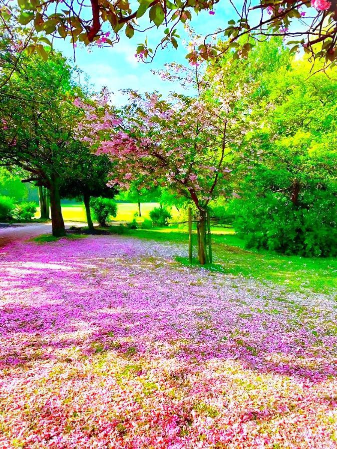 Sidemersey Livings - Botanical Hidden Gems, Magical Gardens Apartment Liverpool
