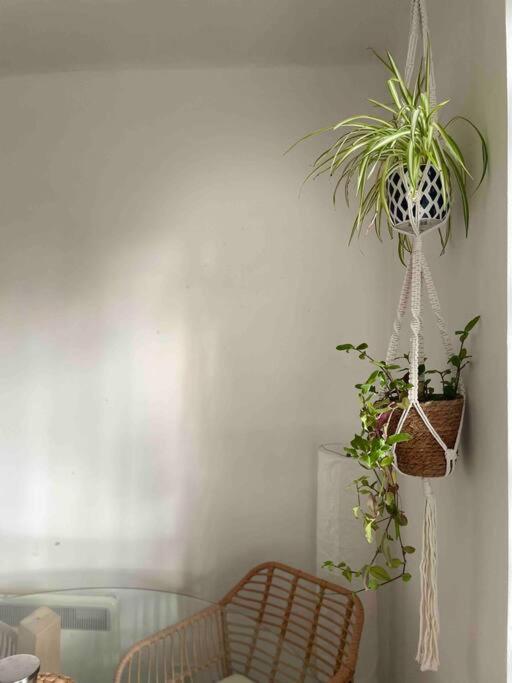 Linnet House - Relaxing - Leafy - Whole Apt- 2 Bed *