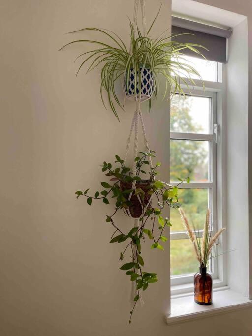 Apartment Linnet House - Relaxing - Leafy - Whole Apt- 2 Bed *