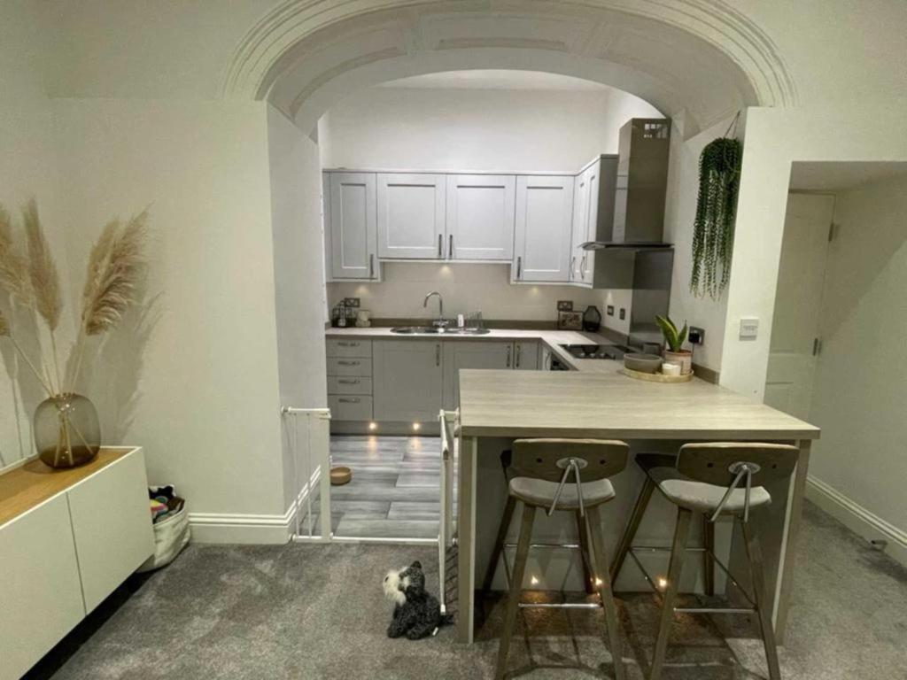 Apartment Orange Rentals- Cosy 1-bed Near Lark Lane & Sefton Park *