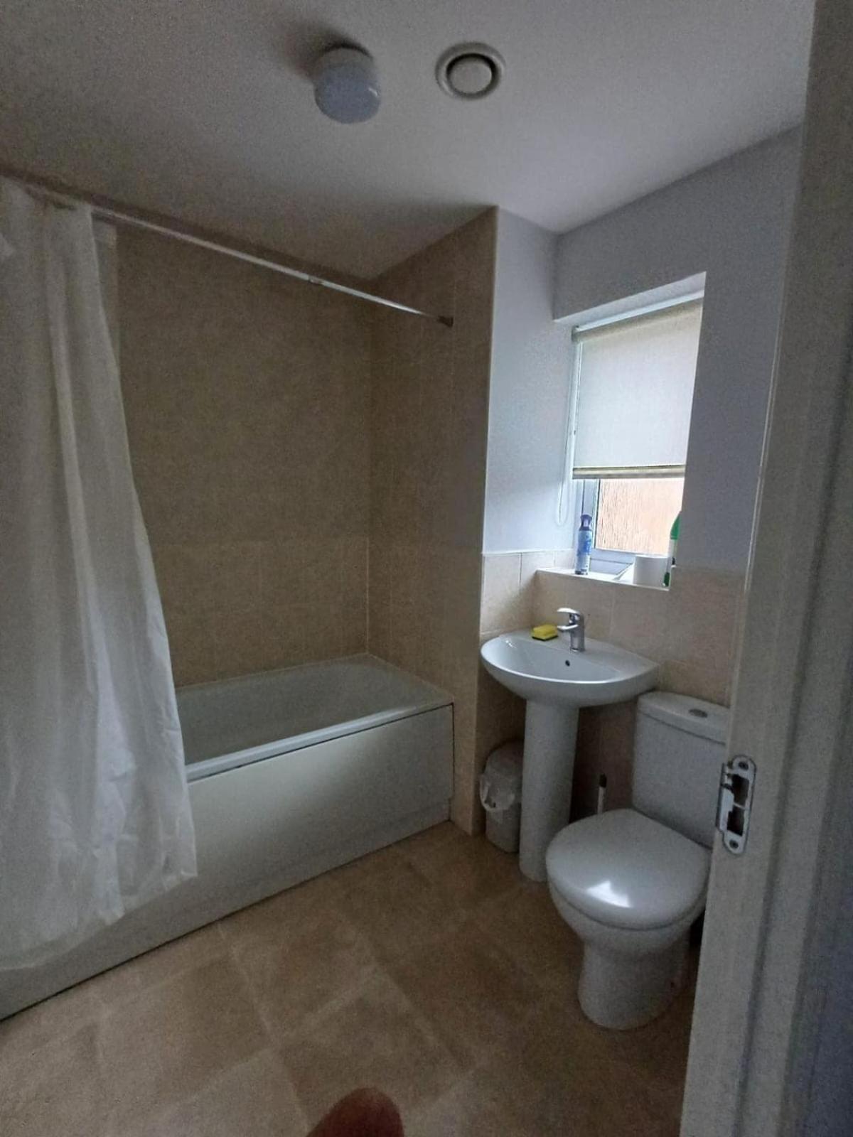 Great Apartment