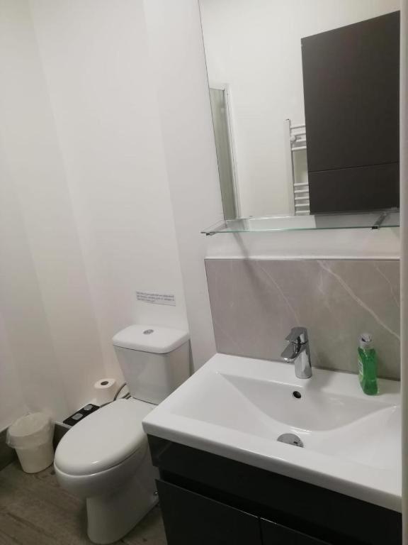Oyo Green 3* Liverpool