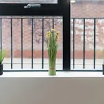 Lovely 1 Bed Apartment In Central Liverpool