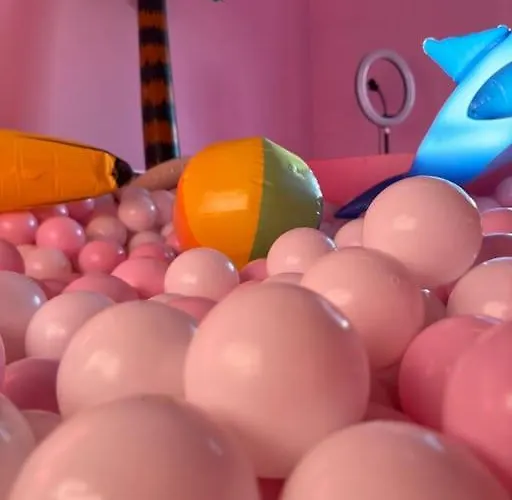 #1 Most Viral Pink House W Ball Pit