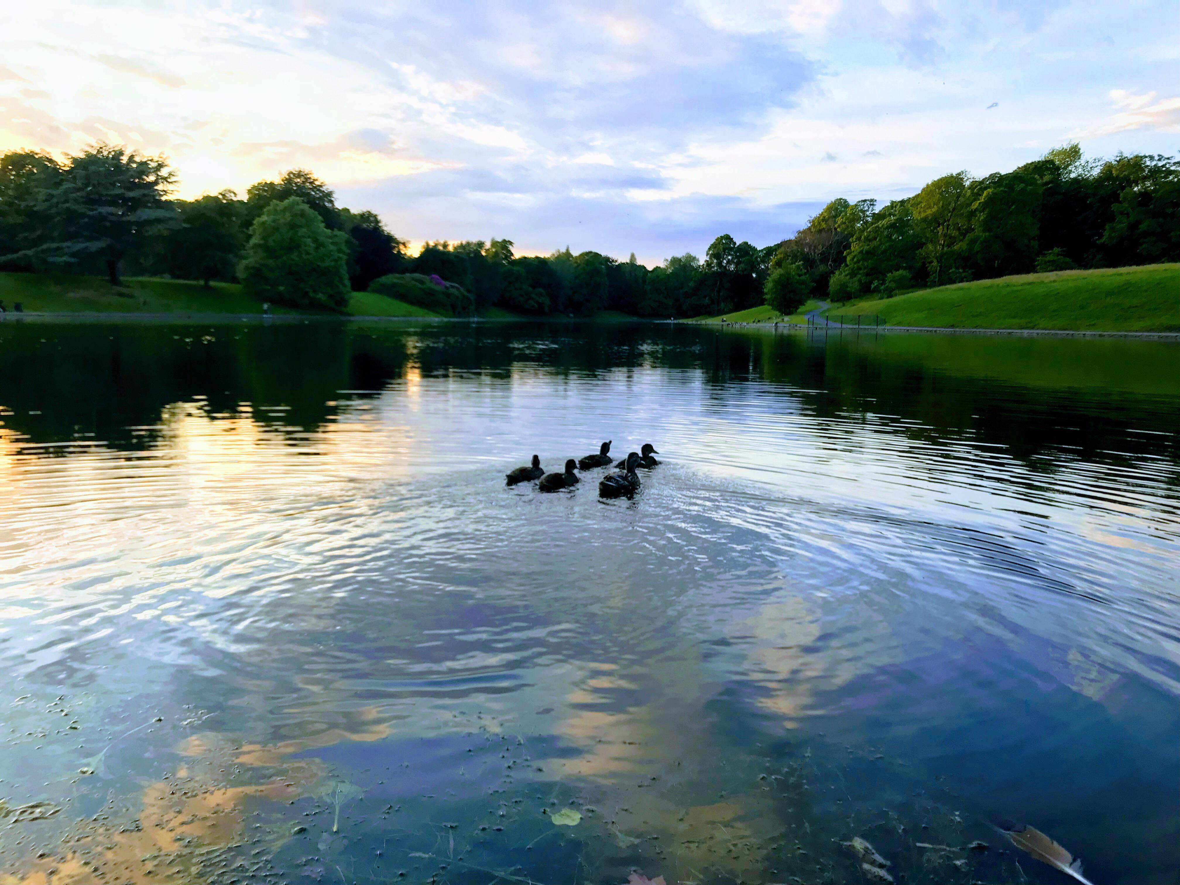 Hotel Sefton Park