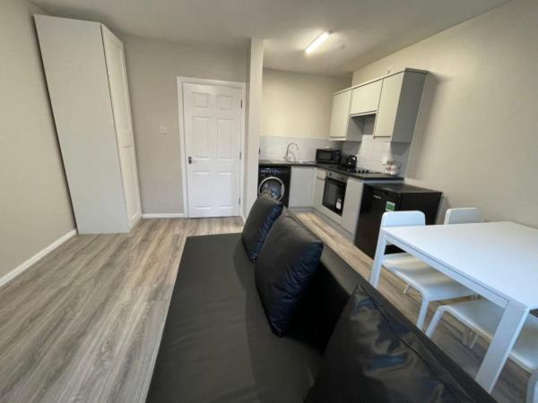 Ryan I Air I - 458 Mill Street - Free Parking Apartment