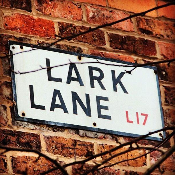Orange - Stylish Near Lark Lane Apartment